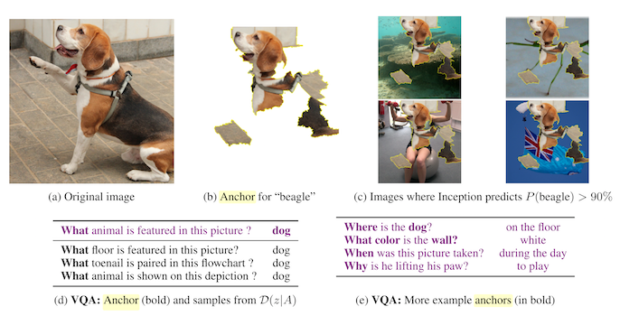 Examples for anchors by Ribeiro et. al (2018).